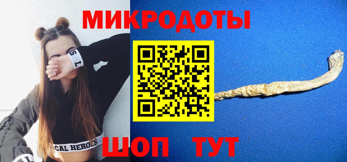 Псилоцибиновые грибы Cubensis Тверь